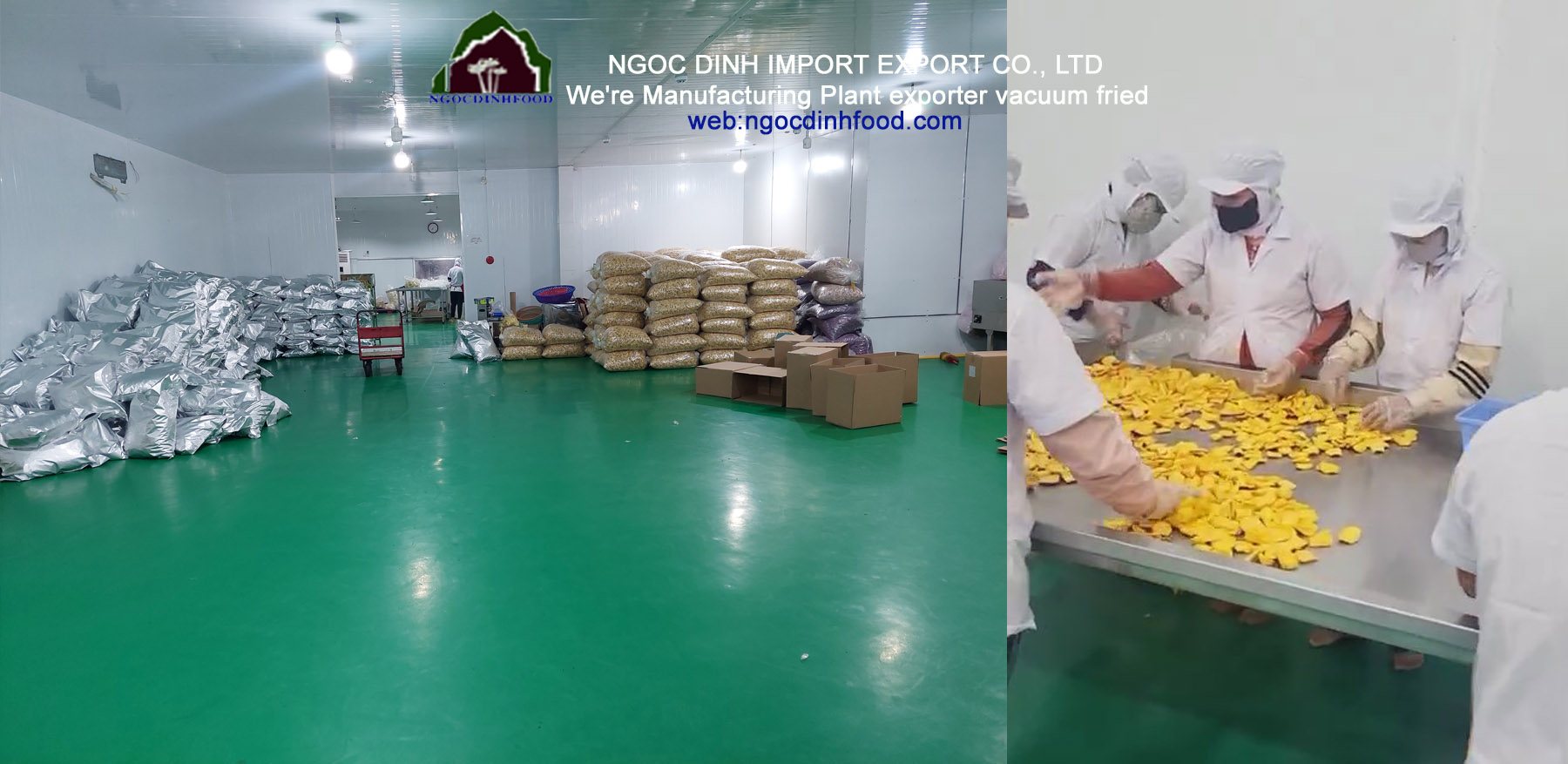Vacuum Fried Fruit 11